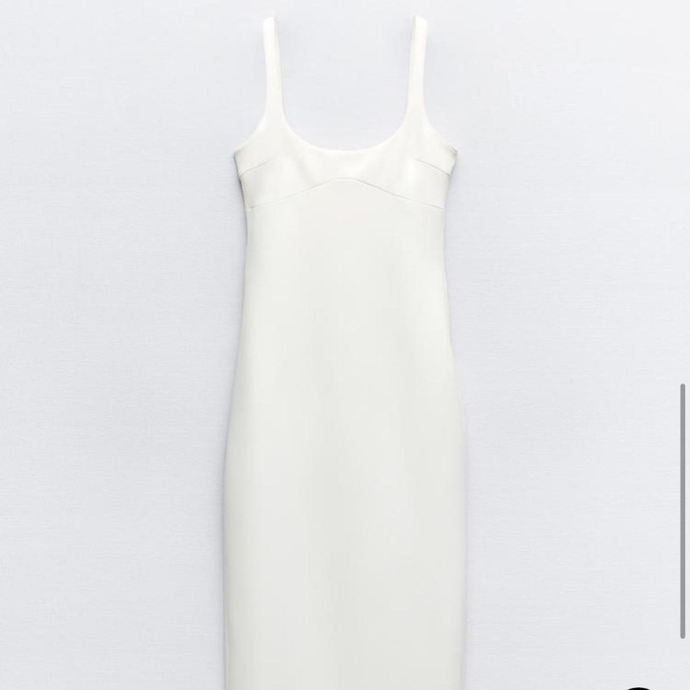 Zara Fitted Mini Dress